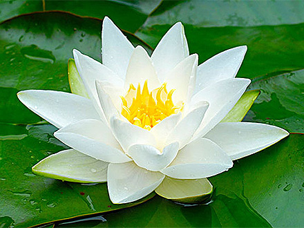 www.tl1001.com