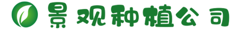 www.tl1001.com